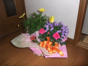 花篭♥