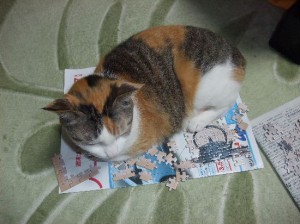 床の上でやる方が悪い。