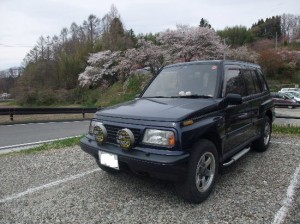 おぉ、久々にのまちゃんの写真