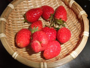なにげに一杯とれた♪