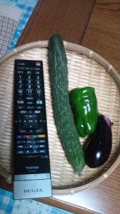 今度のは大きい。オマケもちょびっと♪