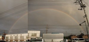 きれいな弧。