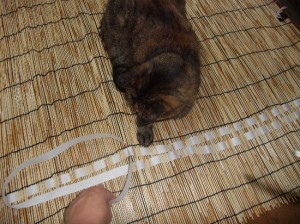 作業が進まない・・・