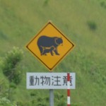 動物注意