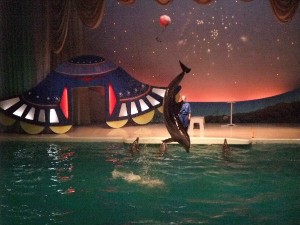 水族館も久しぶり。