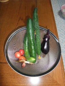 採りたては美味いでー。