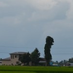 河童？