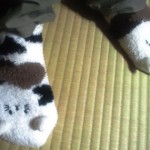 くつした