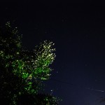 庭の空
