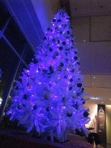 色合いが・・・