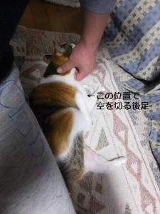 かしかしかしかし・・・