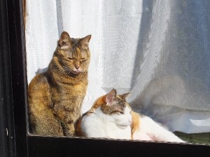 ぼーっとな。