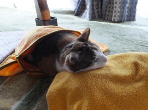 こんだけヌクヌクさせてるのに（涙）