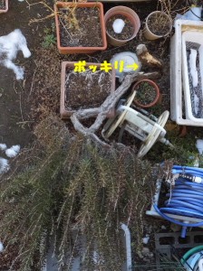 再起不能･･･