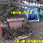 あーあーあー