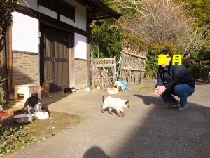わらわらと・・・