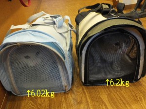 初めてのお泊り。