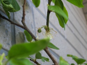 こ・・・これはもしかして･･･