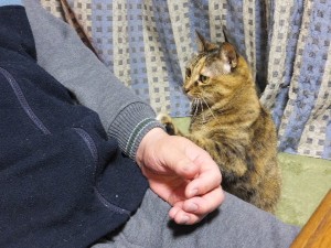これを無視すると・・・