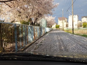 雪が積もったみたい