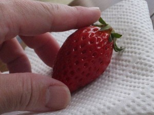 こう見ると綺麗な形。