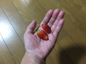 ち、ちっちゃっ！