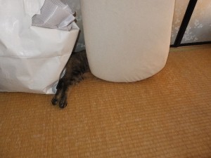 そこじゃかえって暑くないかと・・・