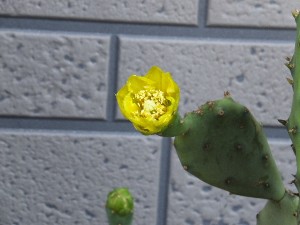 さて、どうしよう・・・