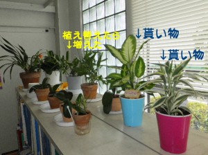 実はもっとある・・・
