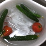 次は丸ごと一本齧ろーっと