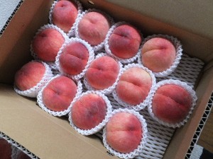 そりゃー立派な桃でした。
