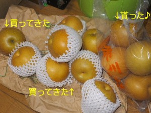 どーすんのこんなに･･･