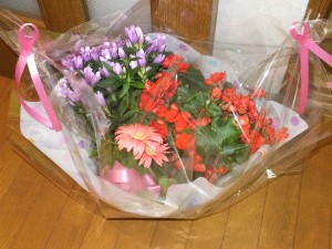草花は苦手だーっ！