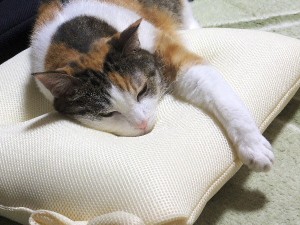 むにゃ～～～
