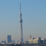 tokyowhite