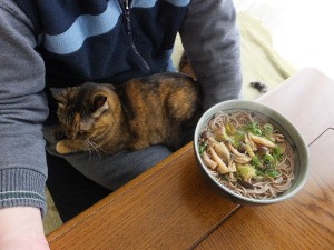 絶対判ってやってるコイツ。